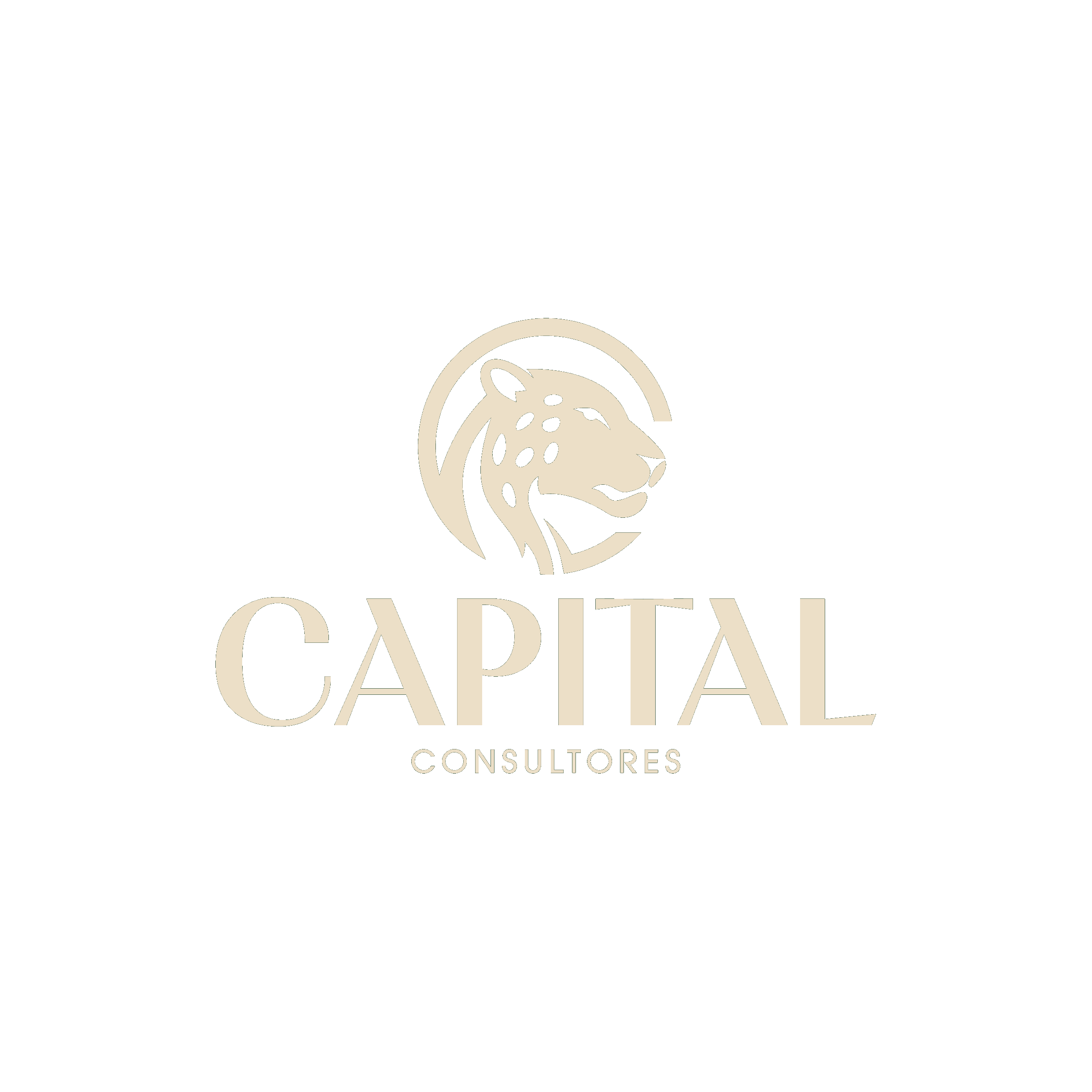 Capital Consultores